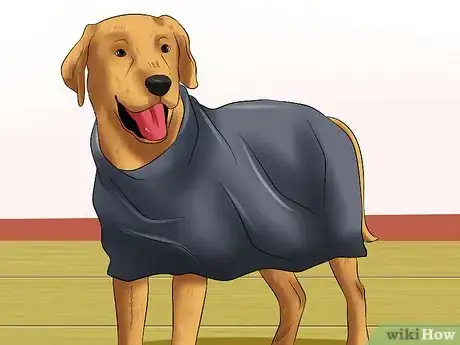 Imagen titulada Make a Plastic Bag Poncho for Your Dog Step 8