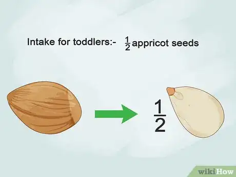 Imagen titulada Eat Apricot Seeds Step 2