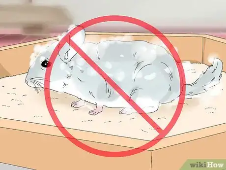 Imagen titulada Treat Eye Irritations in Chinchillas Step 10