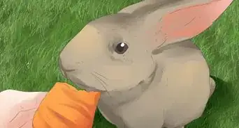 entender a tu conejo