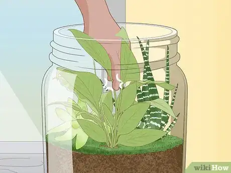 Imagen titulada Grow a Garden in a Bottle Step 17