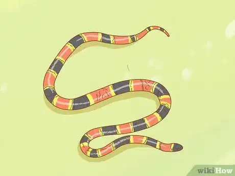 Imagen titulada Differentiate Between Poisonous Snakes and Non Poisonous Snakes Step 3