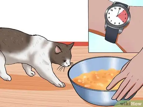 Imagen titulada Prepare a Cat for Air Travel Step 12