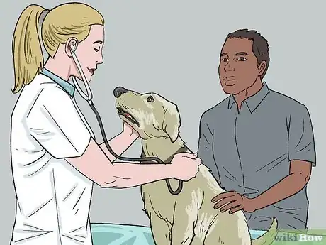 Imagen titulada Treat a Panting Dog Step 10