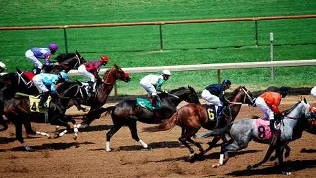 Imagen titulada Horse Race   Louisiana Downs