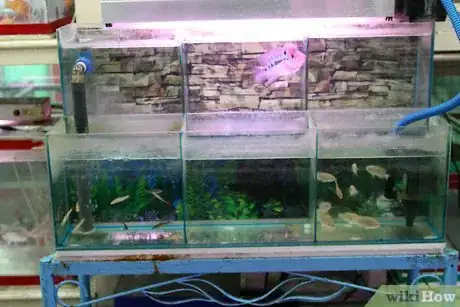 Imagen titulada Start Your Own Aquarium Shop Step 4