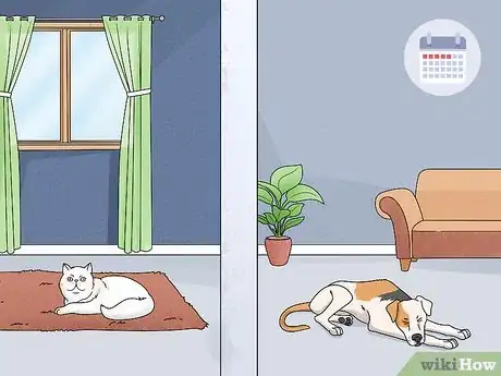 Imagen titulada Acclimate a Dog to a Cat Step 4