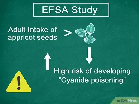 Imagen titulada Eat Apricot Seeds Step 1