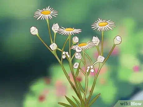 Imagen titulada Prune Daisies Step 4