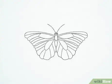 Imagen titulada Draw a Butterfly Step 24