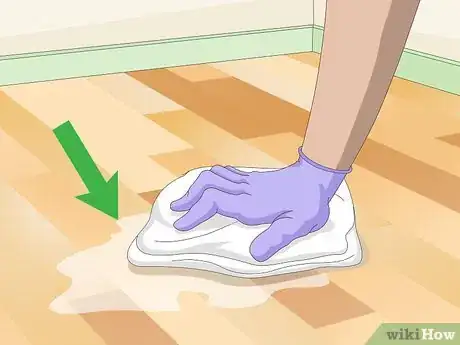 Imagen titulada Clean Vomit from Wood Floors Step 4