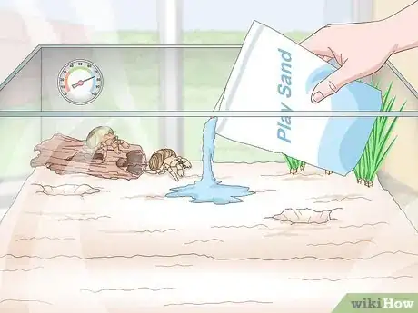 Imagen titulada Maintain Humidity in a Pet Hermit Crab Habitat Step 14