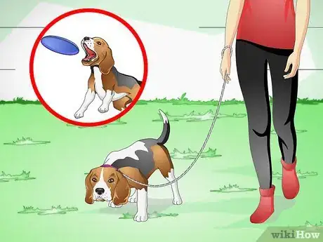 Imagen titulada Understand What Your Dog Wants Step 16