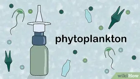 Imagen titulada Grow Copepods Step 5