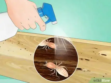 Imagen titulada Get Rid of Subterranean Termites Step 6