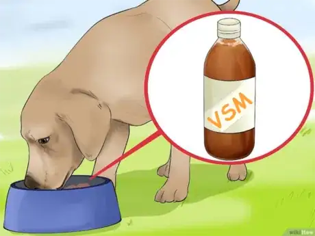 Imagen titulada Use_Apple_Cider_Vinegar_for_Dogs_Step_4