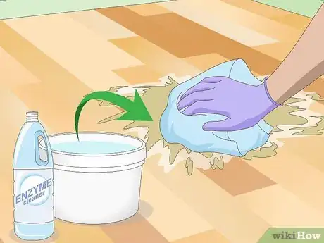 Imagen titulada Clean Vomit from Wood Floors Step 3