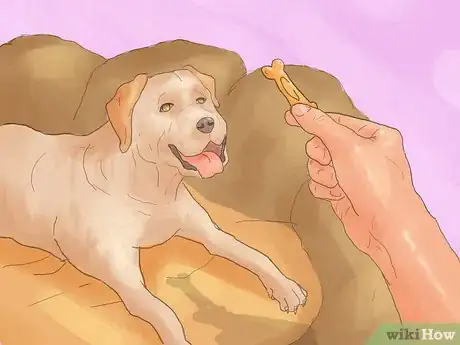 Imagen titulada Make Your Dog Stop Sleeping in Your Bed Step 11