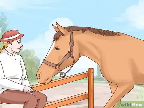 Imagen titulada Take Care of Your Horse Step 15