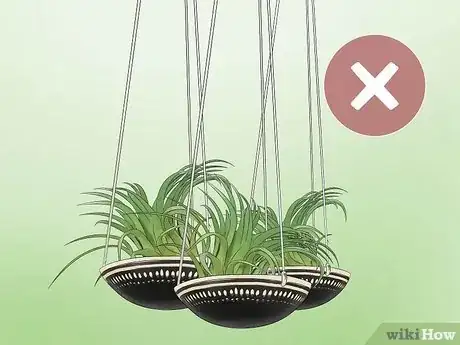 Imagen titulada Care for Air Plants Step 9