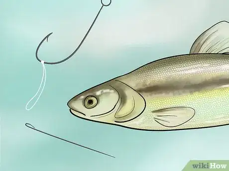 Imagen titulada Bait a Fishing Hook Step 21