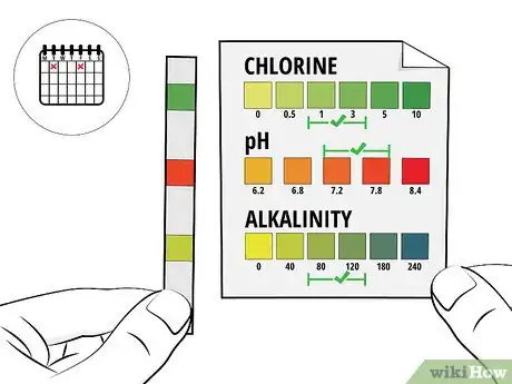 Imagen titulada Treat Algae in a Swimming Pool Step 16