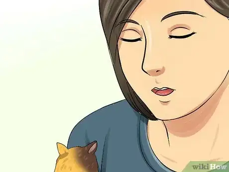 Imagen titulada Handle a Hamster Without Being Bitten Step 13