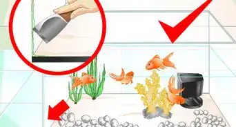 hacer que el agua de un acuario se mantenga transparente