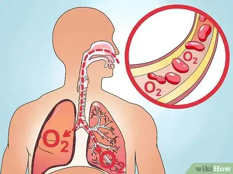 Imagen titulada Measure Oxygen Saturation Using Pulse Oximeter Step 1