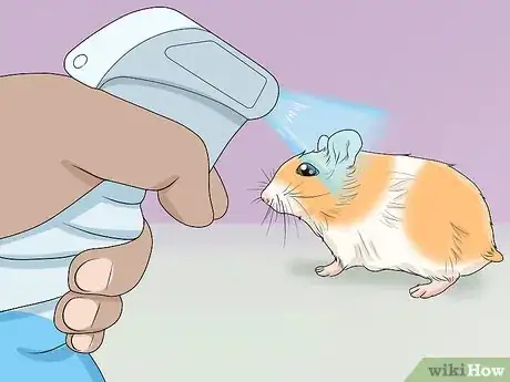 Imagen titulada Prevent and Treat Heat Stress in Hamsters Step 6