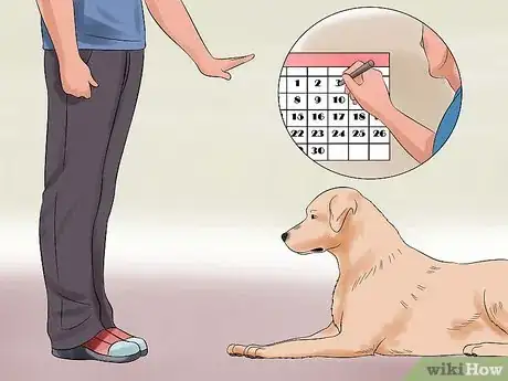 Imagen titulada Teach Your Dog to Play Dead on Command Step 6