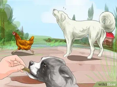 Imagen titulada Train a Dog to Protect Chickens Step 6