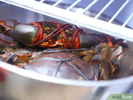 Imagen titulada Prepare Crabs Step 7