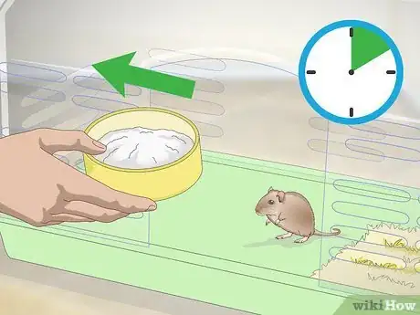 Imagen titulada Give a Gerbil a Sand Bath Step 8