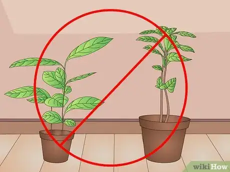 Imagen titulada Care for Indoor Plants Step 11