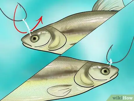 Imagen titulada Bait a Fishing Hook Step 26