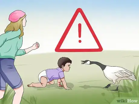 Imagen titulada Feed Geese Safely Step 1