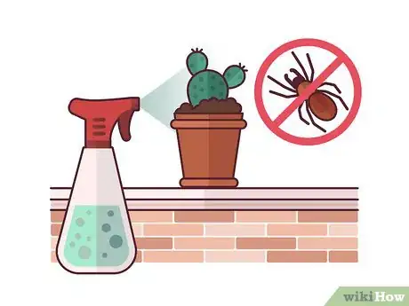 Imagen titulada Grow Cactus Indoors Step 17