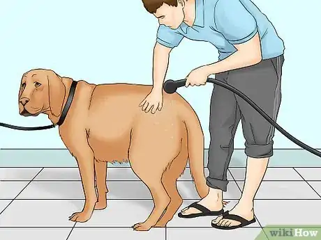 Imagen titulada Remove Chewing Gum from a Dog's Hair Step 4