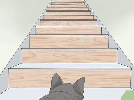 Imagen titulada Train a Scared Dog to Go Down the Stairs Step 5