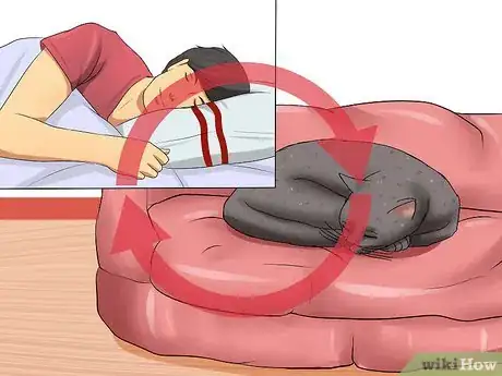 Imagen titulada Encourage Your Cat to Go to Sleep Step 8