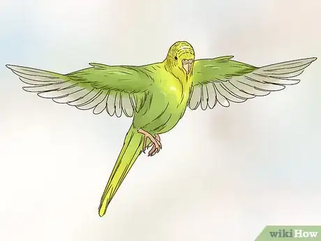 Imagen titulada Take Care of a Budgie Step 16