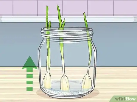 Imagen titulada Grow Garlic in Water Step 6