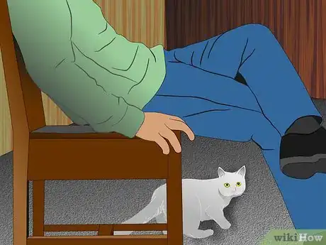 Imagen titulada Care for Physically Abused Cats Step 11