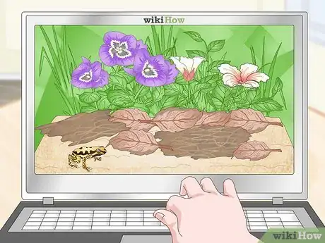 Imagen titulada Build a Vivarium Step 2