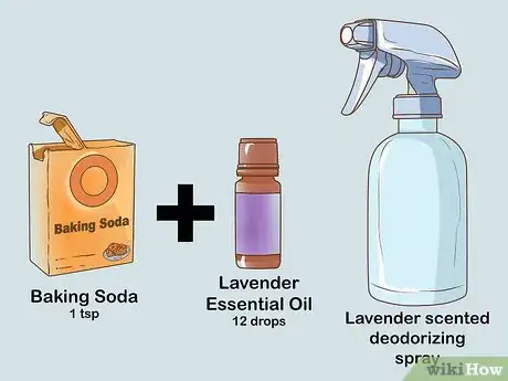 Imagen titulada Freshen Your Home with Lavender Step 2