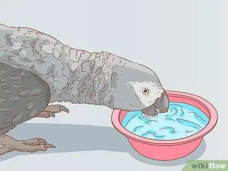 Imagen titulada Treat Respiratory Infections in African Grey Parrots Step 4