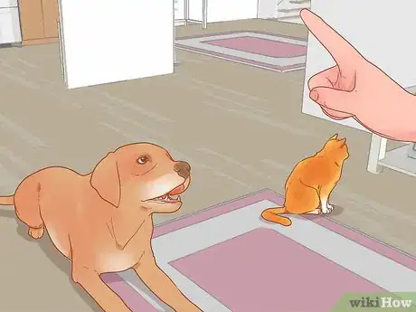 Imagen titulada Stop a Dog from Chasing Step 11