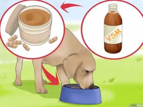 Imagen titulada Use_Apple_Cider_Vinegar_for_Dogs_Step_6