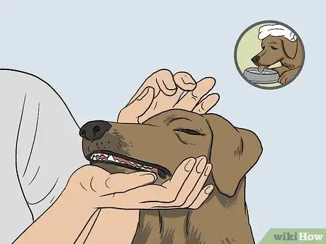 Imagen titulada Treat a Panting Dog Step 7
